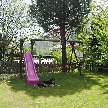 Apartment Annabell Kirchberg in Tirol